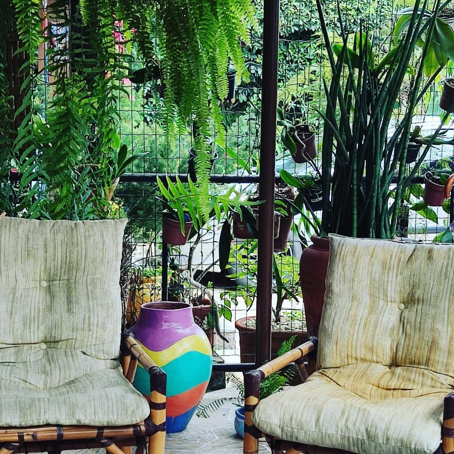 Recanto Toca Das Plantas De Ilhabela II Extérieur photo